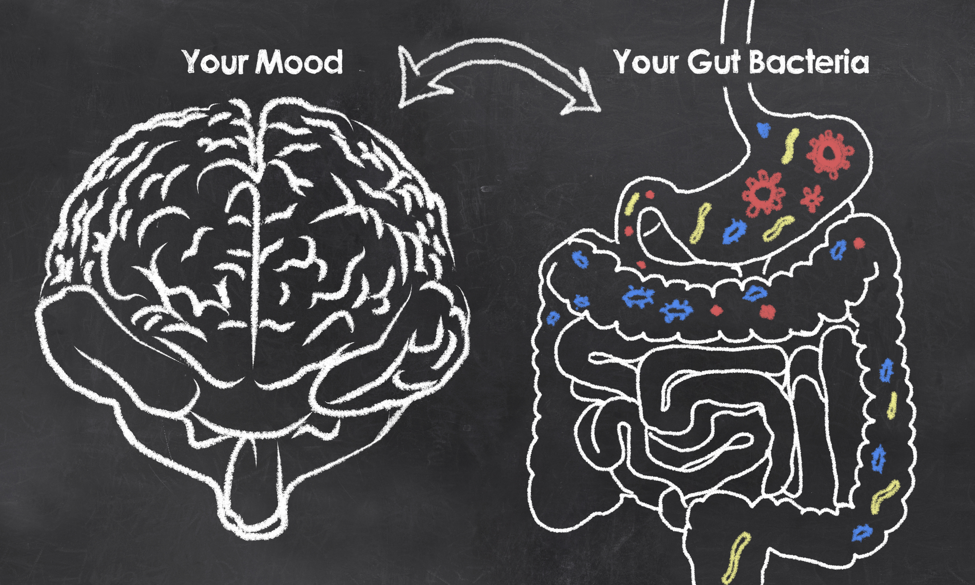 Is There a Connection Between Good Gut Health and My Emotions?