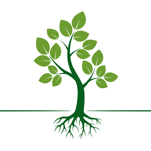 Green Vector Tree and Roots. Vector Illustration.