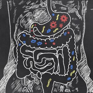 Intestines with Gut Bacteria on Blackboard