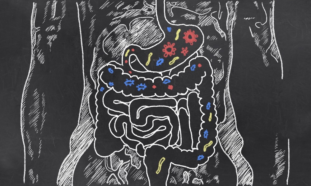 3 Reasons Why Your Gut Is Important To Your Overall Health